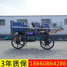 自走式三輪打藥機(jī) 高效農(nóng)用殺蟲噴藥新選擇