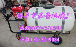 高效農業助手 大馬力手推式噴霧器全面解析