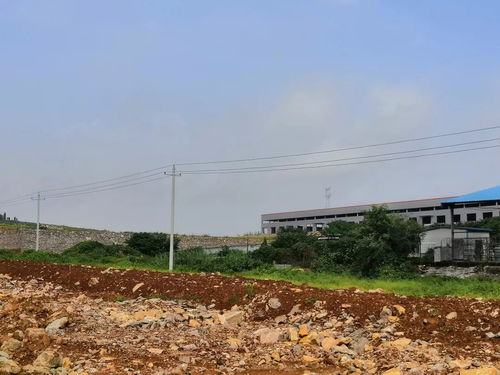 食品廠斥資自建紙板廠 從包裝創(chuàng)新到成本控制的全鏈條戰(zhàn)略